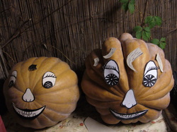 Hallowin pumpkins 2009