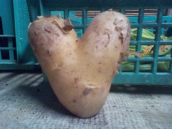Romantic potato